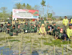 Peringati HUT ke-81 TNI, Pasiter Kodim 1405/Parepare Bersama Babinsa Tanam 10.000 Bibit Mangrove