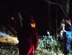 Gaspol Tangani Karhutla, Babinsa dan Damkar Padamkan Kebakaran 2 Hektare Lahan Bambu di Suppa