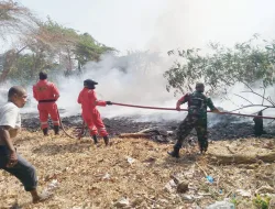 Gerak Cepat Kodim 1404/Pinrang Tangani Karhutla di Sejumlah Wilayah
