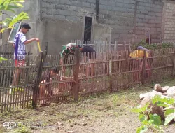 Antisipasi Musim Hujan, Kodim 1404/Pinrang Gelar Karya Bakti Bersihkan Saluran Air