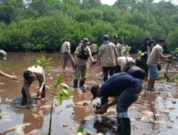 Jaga Bumi, Rawat Laut Gerakan Penanaman Sejuta Pohon Mangrove di Kawasan Pesisir pantai kab Barru 