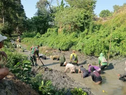 Dukung Ketahanan Pangan, Babinsa Sertu Mansur Ajak Warga Bersihkan Saluran Irigasi di Pananrang