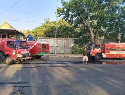 Personel Damkar dan Babinsa Koramil 1405-03 Bacukiki Padamkan Kebakaran Lahan Kosong di Tengah Permukiman Warga   