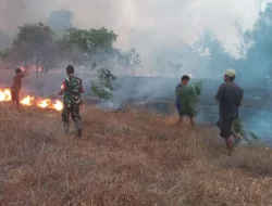 Gerak Cepat Babinsa dan Damkar Padamkan Kebakaran Lahan 4 Hektare di Malimpung