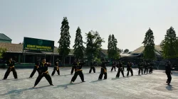 Personel Kodim 1404/Pinrang Gelar Latihan Pencak Silat Militer, Tingkatkan Kesiapan dan Keterampilan Bela Diri